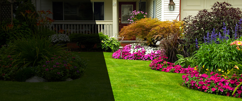 Florence Landscapers